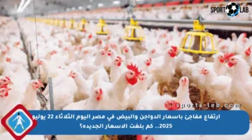 ارتفاع مفاجئ بأسعار الدواجن والبيض في مصر اليوم الثلاثاء 22 يوليو 2025.. كم بلغت الأسعار الجديدة؟